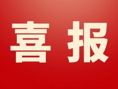 喜报丨青岛市公共卫生临床中心护理团队在山东省护理部主任大会案例分享比赛斩获佳绩