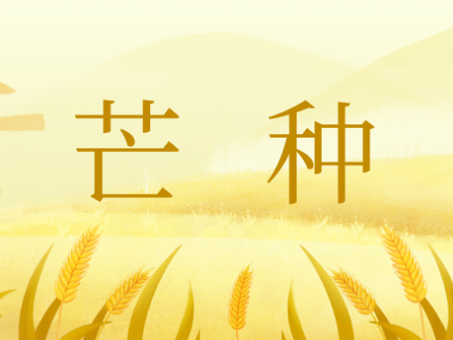节气养生︱芒种：麦黄梅熟 祛湿防暑